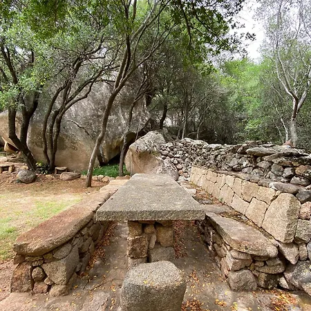 Vena Salva فيلة Casagliana