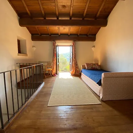 Vena Salva فيلة *