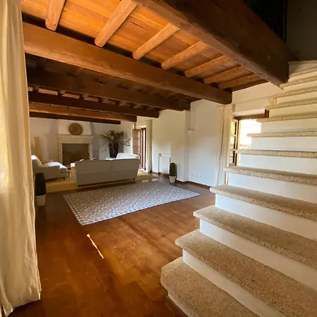 فيلة Vena Salva
