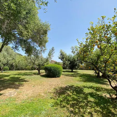 Vena Salva * Casagliana