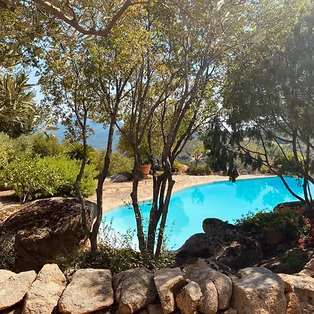 فيلة Vena Salva